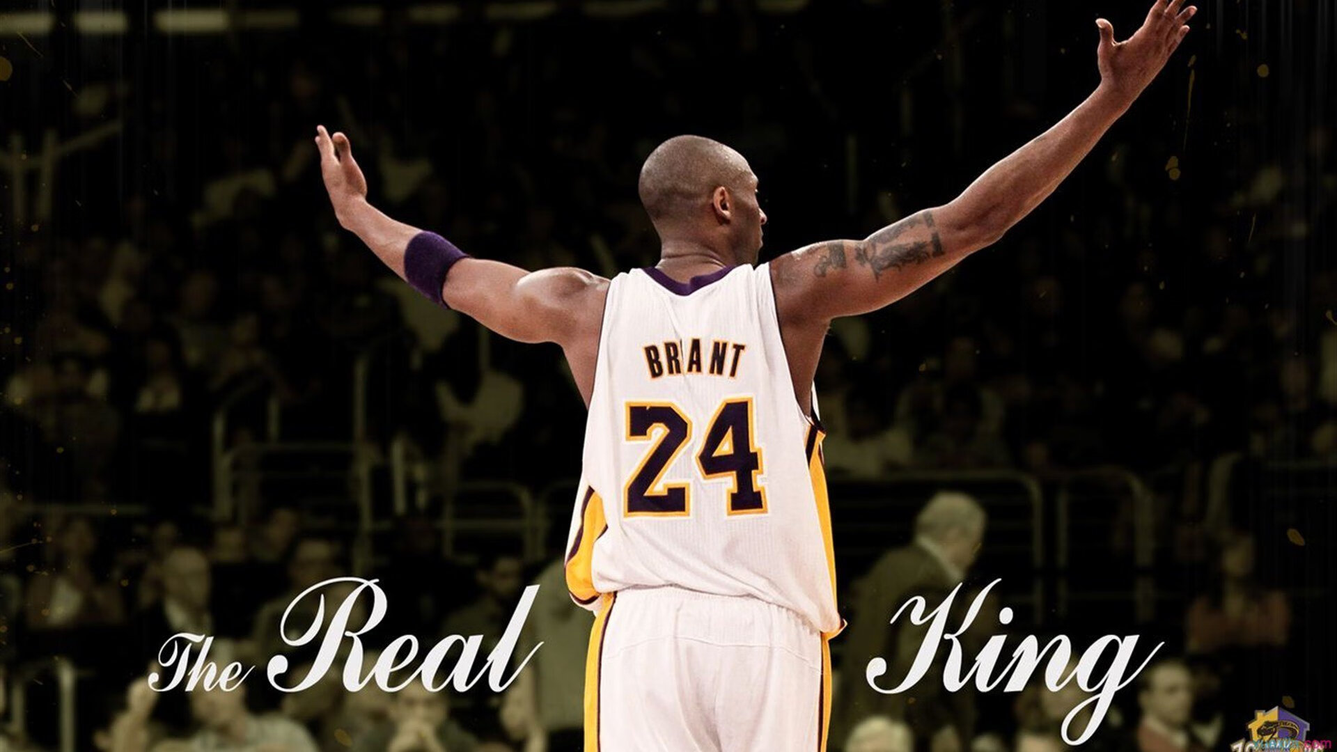 开云全站下载-LCK赛事安全保障措施强化